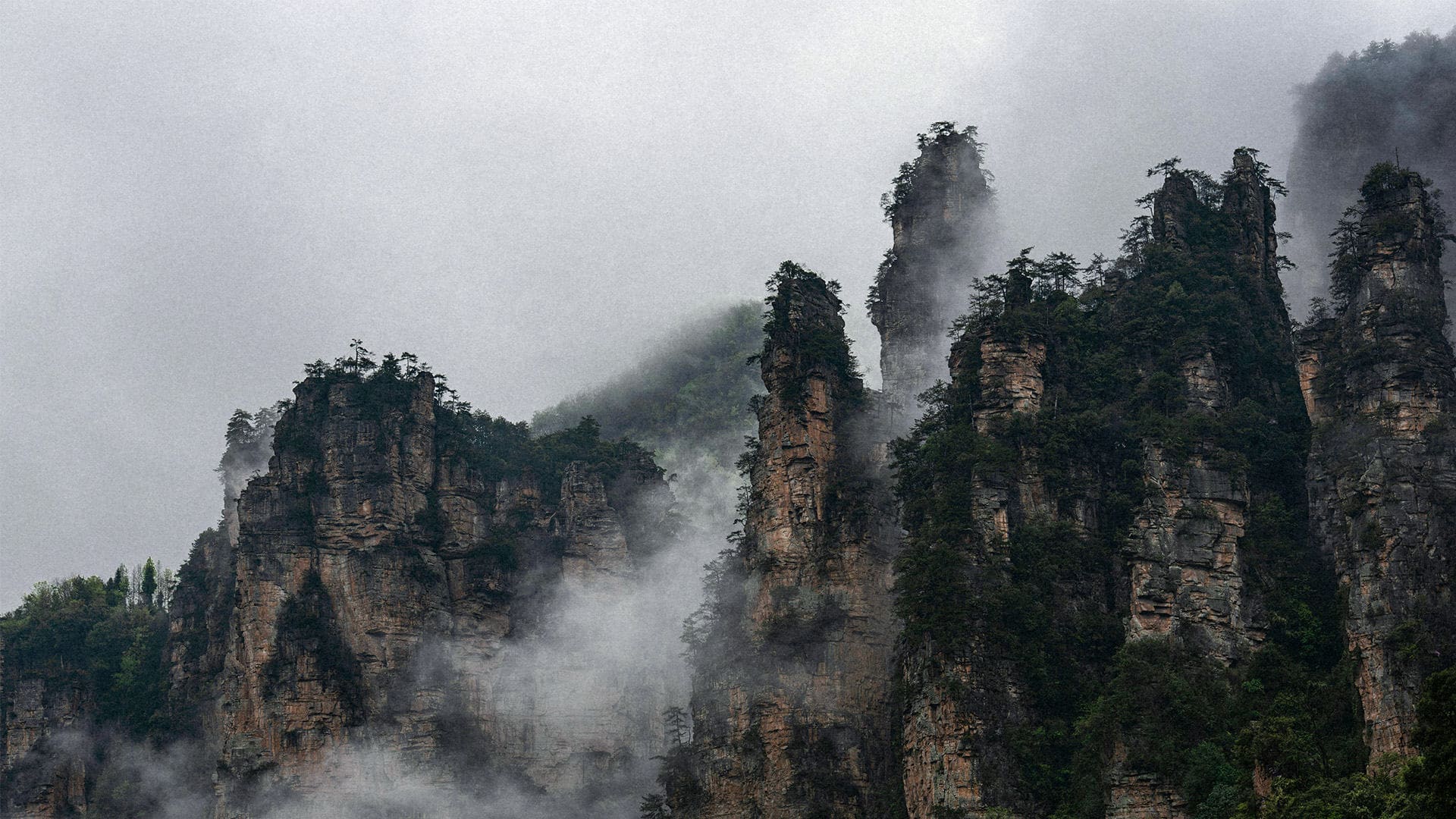 西双版纳云景旅行社有限公司驻马店营业网点